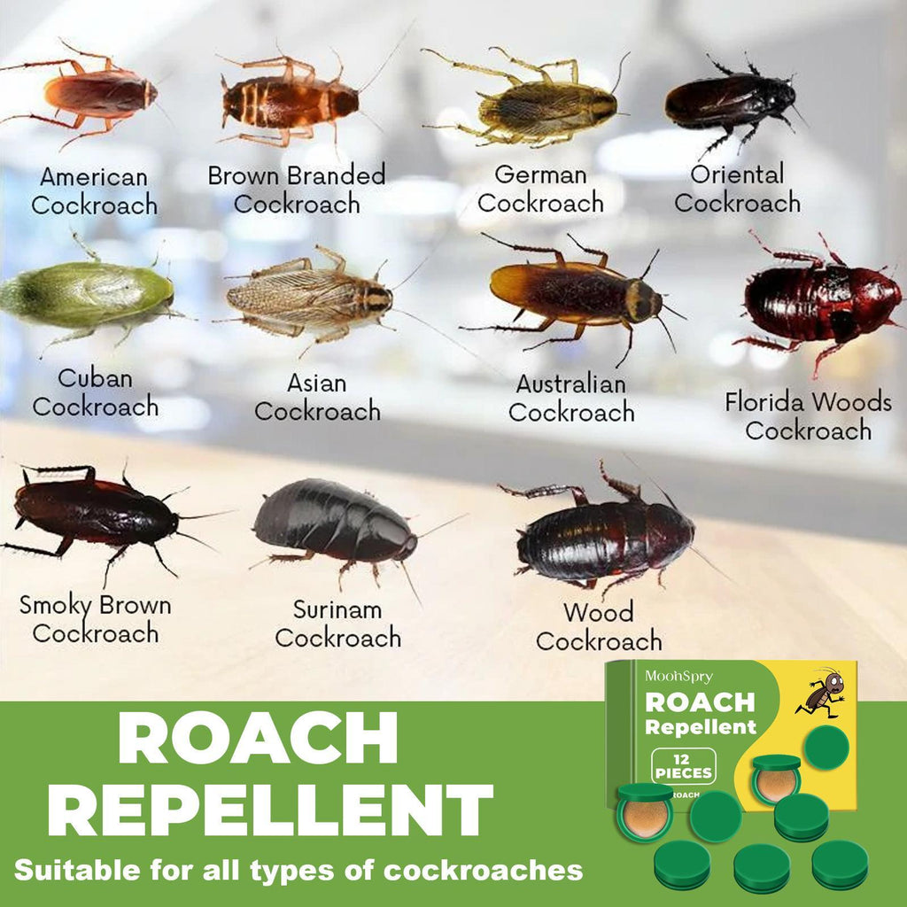 MoonSpry Powerful Cockroach Cleaning Solution Cockroach Repellent and Killer for Home Dormitory Kitchen