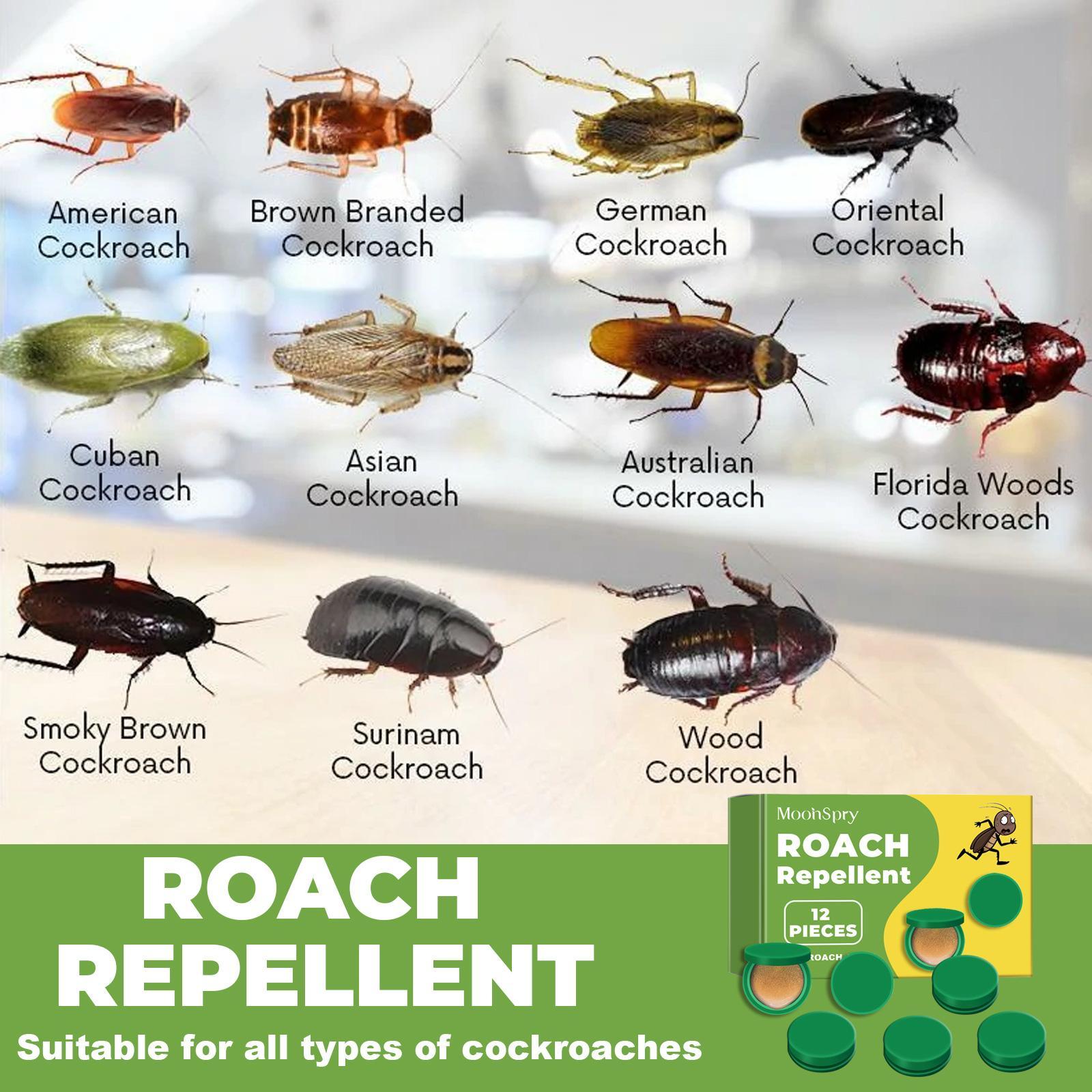 MoonSpry Powerful Cockroach Cleaning Solution Cockroach Repellent and Killer for Home Dormitory Kitchen